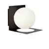 Image de Applique de salle de bain métal noir/verre dépoli D12cm