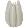 Image de Vase en résine crème ø 26 x 40 cm