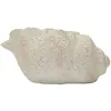 Image de Vase en céramique beige en forme de coquillage, 35 x 23 x 18 cm
