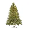 Image de Sapin de Noël en polyéthylène H210, 3431 branches, 1000 microleds