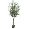 Image de Plante artificielle Olivier en pot, H 150 cm