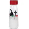 Image de Bouteille sensorielle Noël