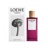 Image de Earth - Loewe Eau De Parfum Spray 100 ml