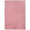 Image de Tapis lavable shaggy rose 160x230 cm