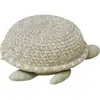 Image de Panier Baby Turtle