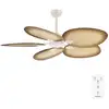 Image de Energysilence aero 5200 palm