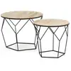 Image de Set de 2 Tables basses,plateau en placage de bois naturel