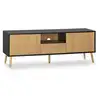 Image de Meuble TV 1 porte 2 tiroirs, couleur noir/bois