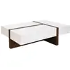Image de Table basse blanc et effet bois noyer