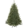 Image de sapin de Noël artificiel Bristlecone Fir Vert Plastique H185