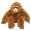 Image de Peluche orang-outan 23 cm