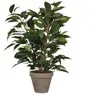 Image de Plante artificielle vert polyester h40xl30xl30cm