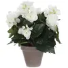Image de Plante artificielle blanc polyester h30xl25xl25cm
