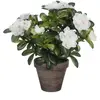 Image de Azalea plante artificielle blanc en pot H27