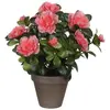 Image de Azalea artificielle pêche en pot H27