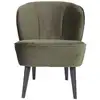 Image de Fauteuil en velours vert chaleureux