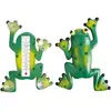 Image de Thermomètre grenouille