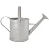 Image de Arrosoir zinc ancien 3.5 l gris
