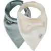 Image de Lot de 2 bavoirs bandana