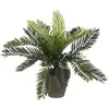 Image de Plante artificielle vert plastique h33xl34xl34cm