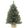 Image de Sapin de Noël artificiel Vert Plastique H90xl61xL61cm