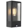 Image de Lampe à détecteur extérieur en acier inoxydable noir