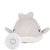Image de Peluche bruit blanc