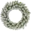 Image de Couronne de noël vert plastique h12xl60xl60cm