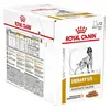 Image de Royal Canin Veterinary Chien Urinary S/O 12 x 100g