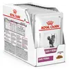 Image de Royal Canin Veterinary Chat Early Renal Aliment Humide 12 sachets