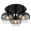 Image de Plafonnier métal noir mat, 25,5cm