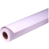 Image de Epson Pap Photo Premium Glacé (250) 16 (0,406x30,5m) - Neuf