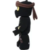 Image de LEGO Ninjago Cole