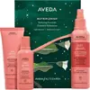 Image de Aveda Nutriplenish hair shampooing, 100 ml + hair conditioner, 100 ml + leave-in conditioner, 200 ml