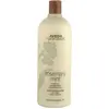 Image de Aveda Rosemary Mint Weightless Conditioner 1000ml - après-shampooing hydratant
