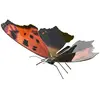 Image de Metal Earth Eastern Comma, Jeu de construction, Metal