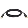 Image de Tripp Lite U022-006, 1,8 m, USB A, USB B, USB 2.0, mâle/mâle, noir