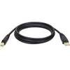 Image de Tripp Lite U022-006 câble USB USB 2.0 1,8 m USB A USB B Noir - Neuf