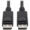 Image de Tripp Lite P580-010 câble DisplayPort 3,05 m Noir - Neuf