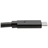 Image de Tripp Lite USB Type C to USB C Cable USB 3.1 5A Rating 100W 5 Gbps Thunderbolt 3 Compatible M/M 6ft
