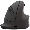 Image de Fellowes 100143584 souris Universel Gauche Bluetooth + USB Type-C Optique 2400 DPI - Neuf