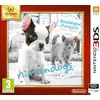 Image de Nintendo Nintendogs + Cats: Bouledogue Français, 3DS - Neuf
