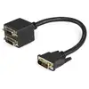 Image de StarTech.com Câble Répartiteur en Y DVI-D vers 2x DVI-D 30 cm - Câble Splitter DVI-D - M/F - Neuf