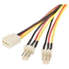 Image de StarTech.com Câble d'alimentation en Y pour ventilateur Molex de 30 cm - Câble répartiteur 1x TX3 (F) vers 2x TX3 (M) - Neuf