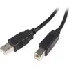 Image de StarTech.com Câble USB 2.0 A vers B de 3 m - M/M
