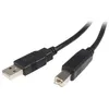 Image de Comusb 50cm Câble Pour Imprimante - 1x Usb A Male - 1x Usb B Male - Adaptateur Noir, Garantie À Vie - Startech