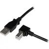 Image de StarTech.com 2m USB 2.0, 2.0, USB A, USB B, 480 Mbit/Sek, 2 m, 65 g