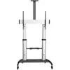 Image de STARTECH Support chariot à roulettes pour TV de 60' à 100' - Neuf