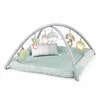 Image de Ingenuity Tapis D'Éveil Au Sol Bébé Calm Spring Extra Moelleux 6 Jouets Mutil Sensoriels Détachable