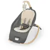 Image de Ingenuity Every Season Transat Gris Pour Bébé 0-30 Mois